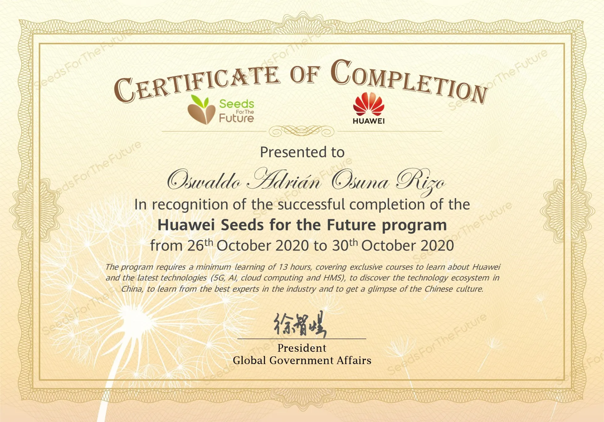 Huawei Seeds for the Future 2020